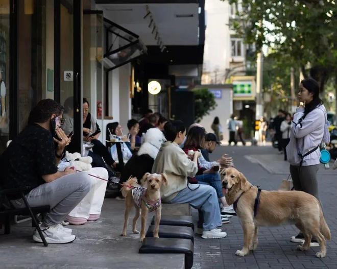 了双11爱上了“老年严选”凯发K8这届脆皮年轻人抛弃(图15)